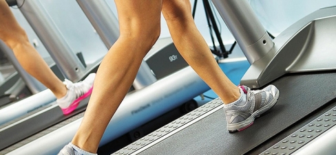 Lower limb